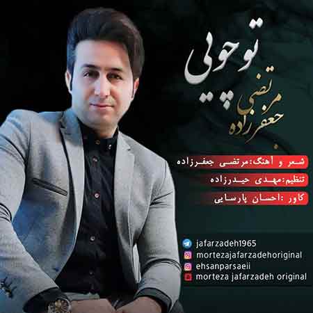 دانلود آهنگ تو چویی مرتضی جعفرزاده